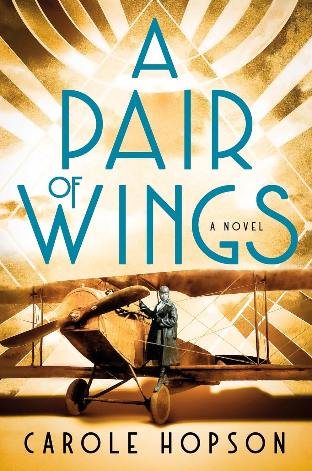 A Pair of Wings: A Novel by Carole Hopson