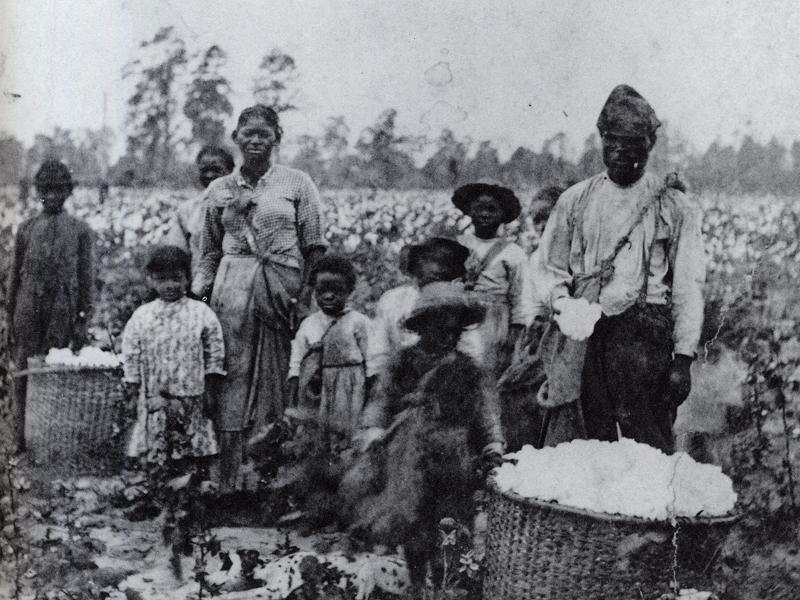 From Borrowed Labor to Bold Leadership: The Black Role in America’s Wealth Story
