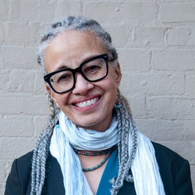 Under the Skin Author Linda Villarosa