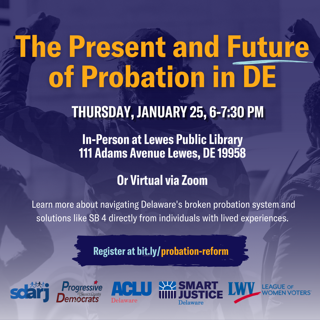 The Present and Future of Probation in DE