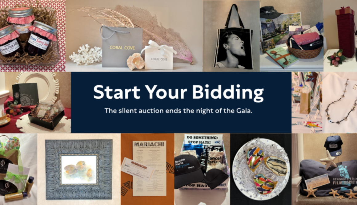 The SDARJ 2025 Gala Silent Auction