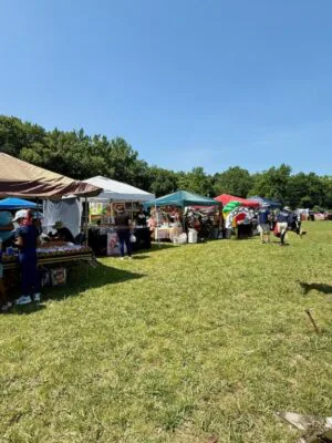 Southern Delaware Alliance for Racial Justice Joins Juneteenth Celebration in Georgetown Booths